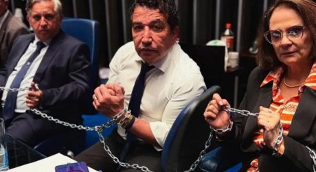 STF no Direito e na política